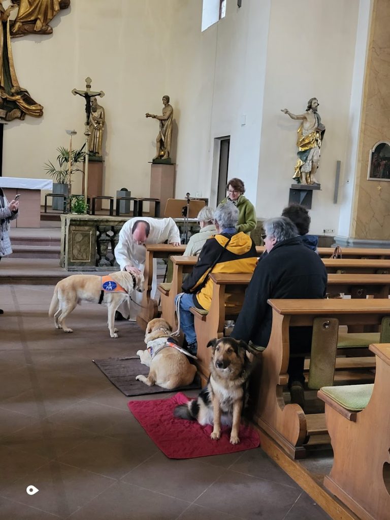 Mehrere Menschen mit Hunden sitzen in einer Kirchenbank, während ein Mann einen Hund vorne segnet.